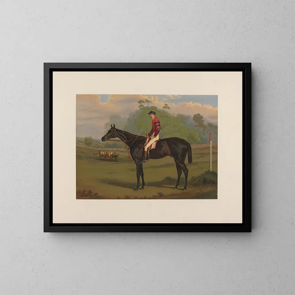 Parole, castrone marrone - Harry Hall — quadro incorniciato alla parete