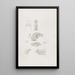 Mémoires du Musée de Zoologie Comparée de l'Université Harvard Pl02 - Musée de Zoologie Comparée de l'Université Harvard — quadro incorniciato alla parete