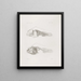 Memorie del Museo di zoologia comparata del Harvard College Pl14 - Museo di Zoologia Comparata dell'Università di Harvard — quadro incorniciato alla parete
