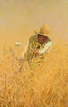 Récolte del grano - Harvey T. Dunn — vista dell’opera