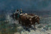 Colons della prateria che tornano a casa - Harvey T. Dunn — vista dell’opera