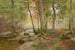 Paesaggio boschivo - Heinrich Böhmer — vista dell’opera