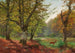 Lago della foresta - Heinrich Böhmer — vista dell’opera