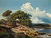 Paesaggio danese - Heinrich Buntzen — vista dell’opera