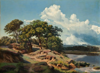 Paesaggio danese - Heinrich Buntzen — vista dell’opera