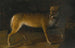 Un lupo in un paesaggio - Heinrich Lihl — vista dell’opera