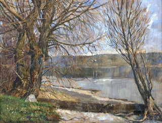 sulle rive di Reichenau - Heinrich Lotter — vista dell’opera