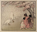 Il Pavone bianco - Helen Hyde — vista dell’opera