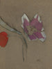 Anemone - Helene Schjerfbeck — vista dell’opera