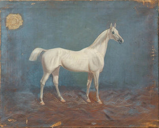 Un cavallo bianco - Hema A Groy — vista dell’opera