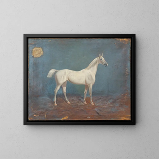 Un cavallo bianco - Hema A Groy — quadro incorniciato alla parete
