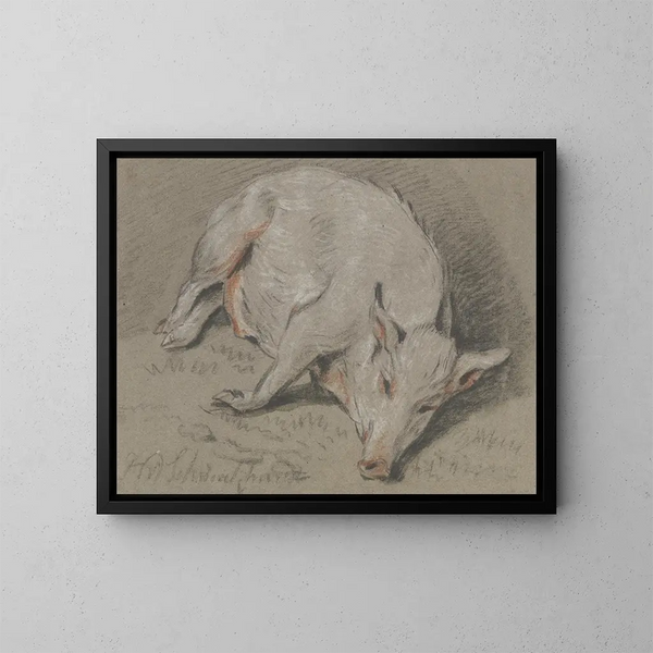 Maiale sdraiato - Hendrik Willem Schweickhardt — quadro incorniciato alla parete