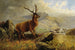 Cervo al ruscello di montagna - Henry Morris — vista dell’opera