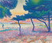 La Plage de Saint-Clair - Henri-Edmond Cross — vista dell’opera