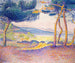 Pins le long de la côte - Henri-Edmond Cross — vista dell’opera