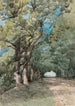 Allée sous-bois - Henri-Joseph Harpignies — vista dell’opera