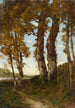 Arbres au bord de la Loire - Henri-Joseph Harpignies — vista dell’opera
