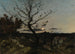Chiaro di luna nei dintorni di Marsiglia - Henri-Joseph Harpignies — vista dell’opera