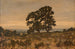 Due alberi ai margini della foresta - Henri-Joseph Harpignies — vista dell’opera