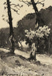 Studio di alberi - Henri-Joseph Harpignies — vista dell’opera