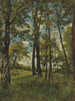 La Clairière - Henri-Joseph Harpignies — vista dell’opera