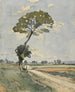 L'albero ai margini della strada - Henri-Joseph Harpignies — vista dell’opera