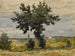 L'albero ai margini della strada - Henri-Joseph Harpignies — vista dell’opera