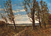 Paesaggio con raffica di vento - Henri-Joseph Harpignies — vista dell’opera