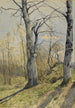 Paesaggio di sottobosco - Henri-Joseph Harpignies — vista dell’opera