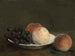 Pesche e uva in una ciotola di porcellana - Henri Fantin-Latour — vista dell’opera