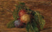 Prugne - Henri Fantin-Latour — vista dell’opera