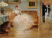 Le bal - Henri Gervex — vista dell’opera
