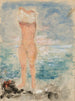 Baigneuse - Henri Lebasque — vista dell’opera
