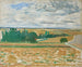 Paesaggio della Beauce - Henri Manguin — vista dell’opera