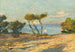 Bord de Mer aux Pins - Henri Martin — vista dell’opera