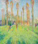 Prairie soleggiata ai pioppi - Henri Martin — vista dell’opera