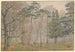 Bois de Boulogne - Henri Rivière — vista dell’opera