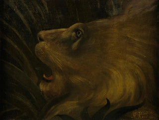 Tête de lion - Henri Rousseau — vista dell’opera