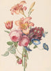 Bouquet - Henriette Geertruida Knip — vista dell’opera