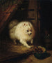 Un intruso indesiderato - Henriette Ronner-Knip — vista dell’opera