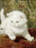 Curiosità - Henriette Ronner-Knip — vista dell’opera
