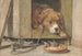 Terreno pericoloso - Henriette Ronner-Knip — vista dell’opera