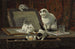 La lezione d'arte dei gattini - Henriette Ronner-Knip — vista dell’opera