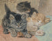 Tre gattini - Henriette Ronner-Knip — vista dell’opera