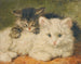 Due gattini - Henriette Ronner-Knip — vista dell’opera