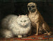Due amici - Henriette Ronner-Knip — vista dell’opera