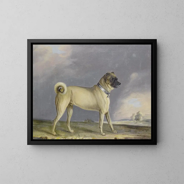 Un chien carlin - Henry Bernard Chalon — quadro incorniciato alla parete