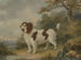 Un épagneul dans un paysage - Henry Bernard Chalon — vista dell’opera