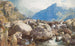 Tryfan cascate d'Orwen Galles - Henry Clarence Whaite — vista dell’opera