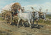 Bœufs transportant du foin - Henry Enrico Coleman — vista dell’opera